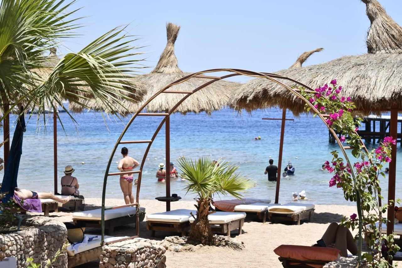 Sunshine Divers Club - Il Porto Sharm el-Sheikh Exterior photo