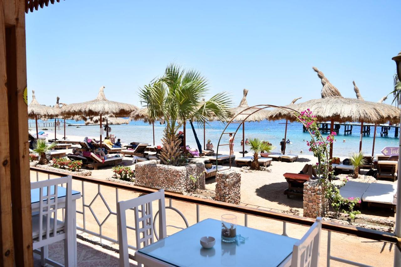 Sunshine Divers Club - Il Porto Sharm el-Sheikh Exterior photo