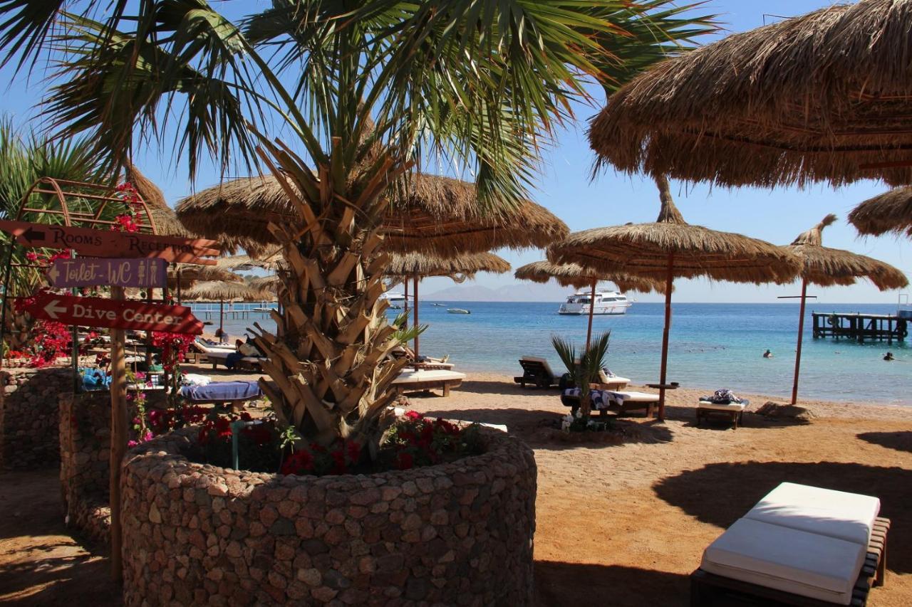 Sunshine Divers Club - Il Porto Sharm el-Sheikh Exterior photo